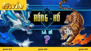 Chiến lược chơi rồng hổ Gwin hiệu quả